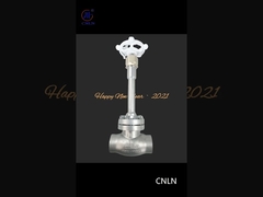 O2 N2 SS304 PN40 Flange Type Cryogenic Globe Valve Long Stem