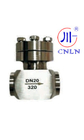 DN10-50mm فشار بالا دریچه چک کریوجنیک با اتصال SW End