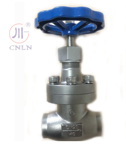 CNLN/Arman DJ61F-40P SS304/316 شیر کروژنیک گلوب کوتاه نوع A ((DN10-100mm) برای سیستم های LNG / LOX / LN2