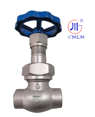 CNLN/Arman DJ61F-40P SS304/316 شیر کروژنیک گلوب کوتاه نوع C ((DN10-50mm) برای سیستم های LNG / LOX / LN2