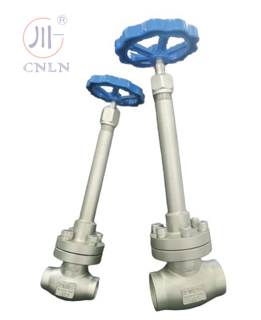 CF3/CF8 دریچه گلوب کریوجنیک فولاد ضد زنگ DN25/DN15 برای LNG/LOX/LN2/LAR/LCO2