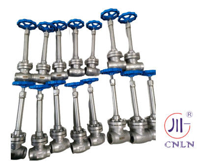 دریچه گلوب دمای پایین فولاد ضد زنگ برای LNG/LOX/LN2/LAR/LCO2