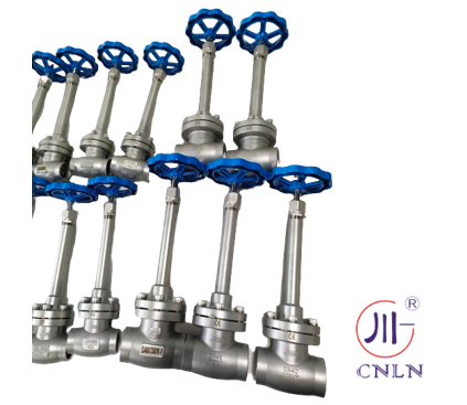 دریچه کروژنیک گلوب فولاد ضد زنگ CF8 CF3 سوکت جوشکاری -196°C تا +80°C