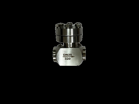 DJ61F-50P Cryogenic Globe Valve with 5.0Mpa Maximum Pressure and PTFE Seal for LNG/LOX Tank Applications